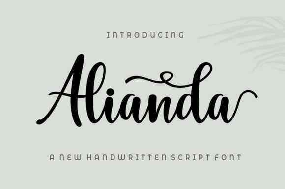 Alianda Script: A Font That Brings Warmth to Editorial Design