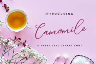 Camomile Script: A Web Designer’s Honest Review of This Elegant Typeface
