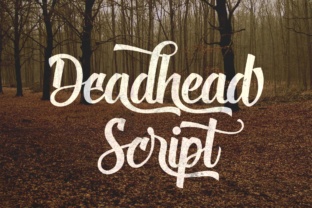 Deadhead Script Font for Creative Projects