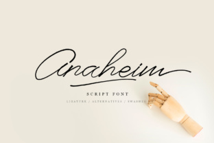 How Anaheim Script Gave My Small Business a Polished Look