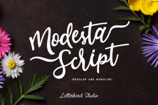 How Modesta Script Gave My Small Business a Cohesive Brand Look