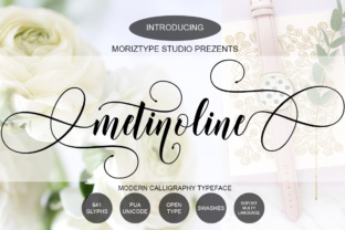 Metinoline Script: A Stylish Font for Editorial Design