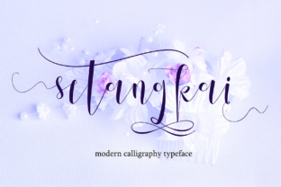 Setangkai Script: A Real-World Designer's Review