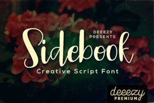 Sidebook Script for Web Designers
