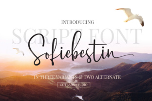 Sofiebestin Script: A Handwritten Font for Modern Campaigns