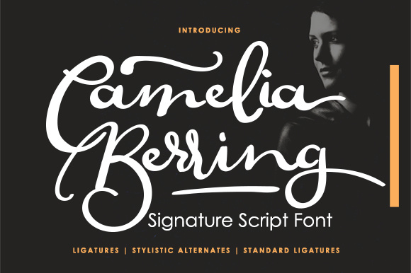 Why Camelia Berring Script Lifted Our Blog's Reading Experience